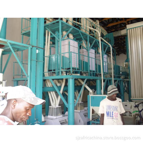 50t/24h Low Fat Maize Flour Milling Machine